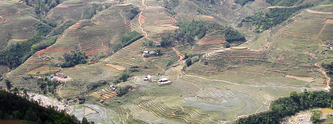 rice fields Sa Pa